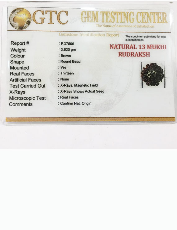 13 Mukhi Certified Nepali Rudraksha Silver Pendant